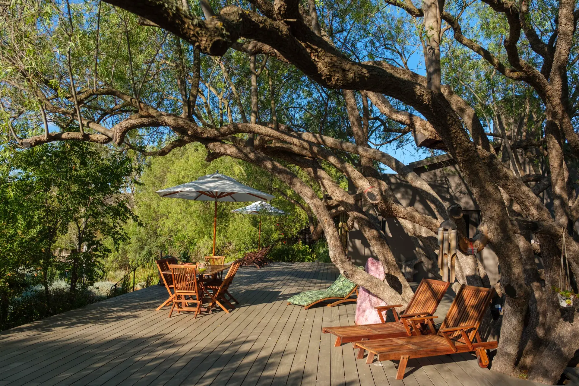 Kamala Karoo retreat - Barrydale Jan 2026